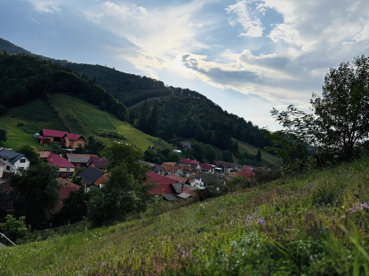 Holbav seen from a meadow with wildflowers