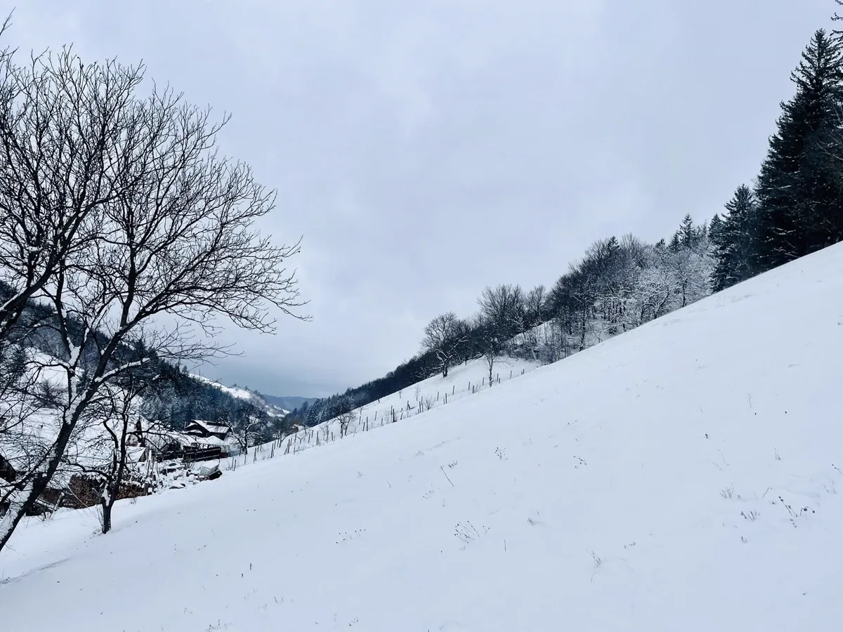 Winter in Holbav — white landscape with forests and village
